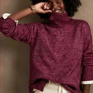 Banana Republic Cozy Oversized Turtleneck Sweater